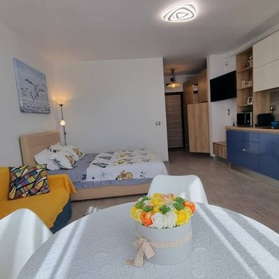 Rental of comfortable 1-room apartments, 36 m², Mamaia, Constanta, Romania